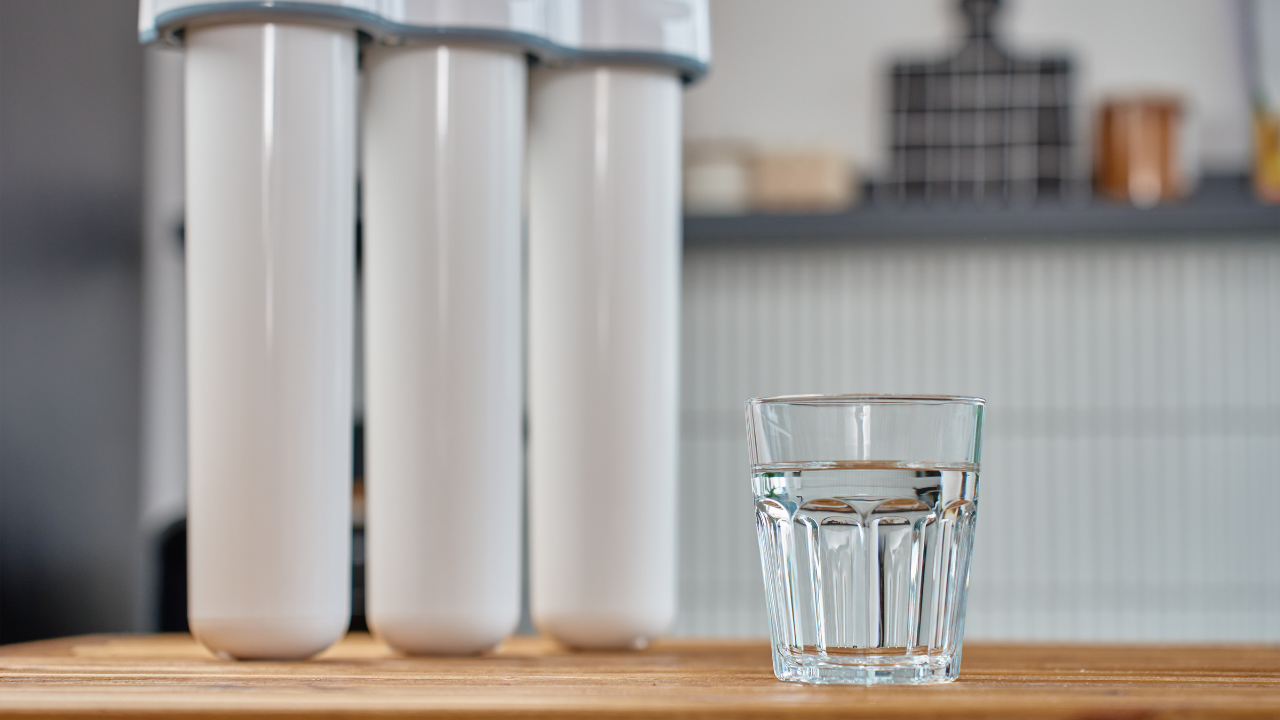 briggs water filter system installation